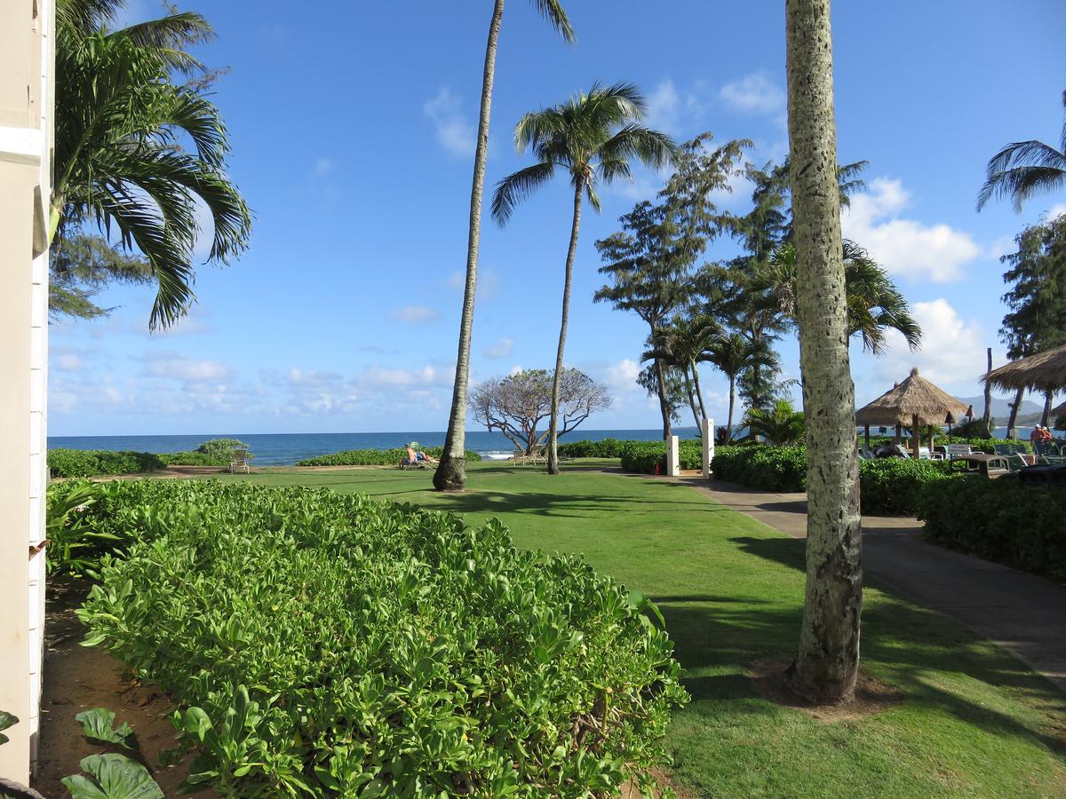 Islander On The Beach #318 - thumb 17