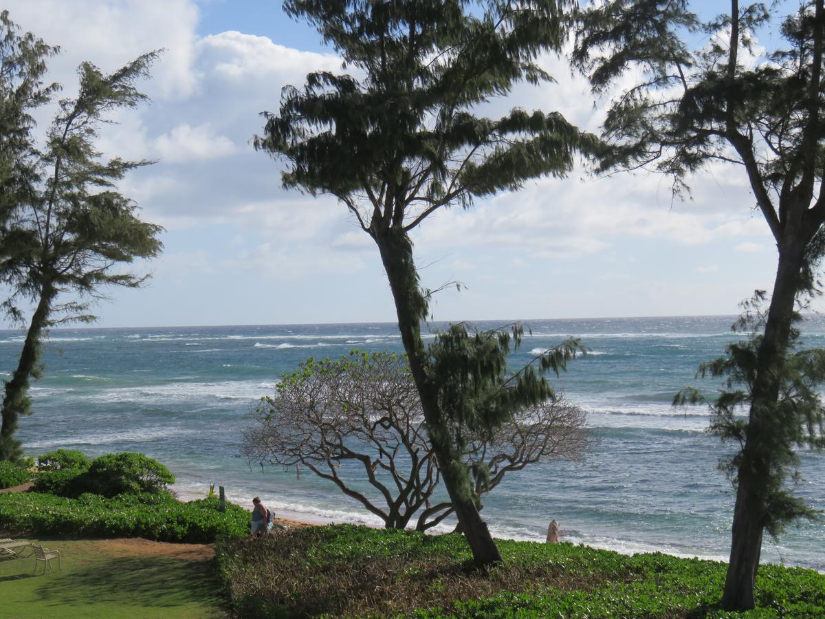 Islander On The Beach #351 - thumb 16