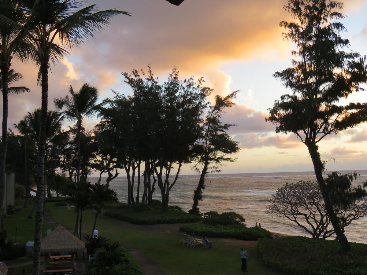 Islander On The Beach #351 - thumb 18