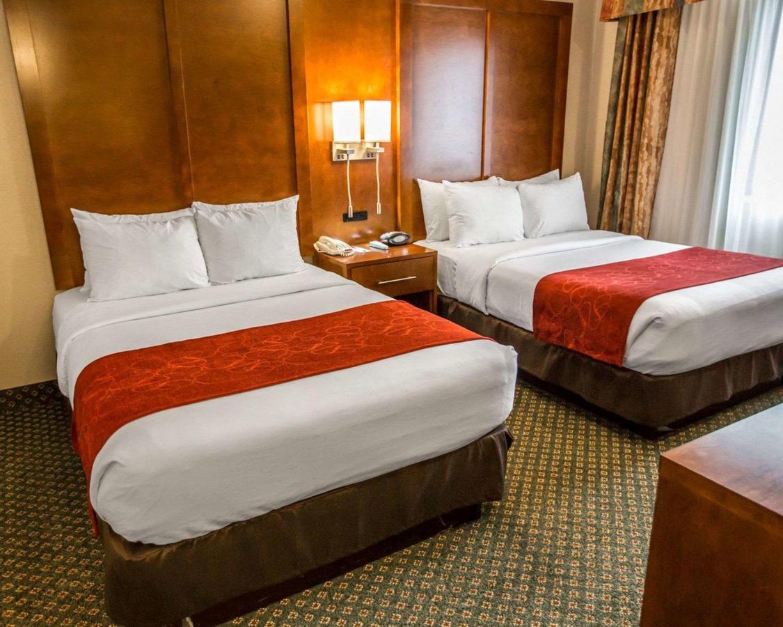 Comfort Suites Chicago - Oakbrook Terrace - thumb 10