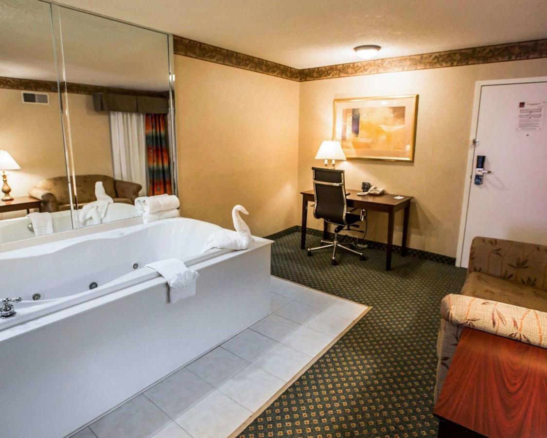 Comfort Suites Chicago - Oakbrook Terrace - thumb 17