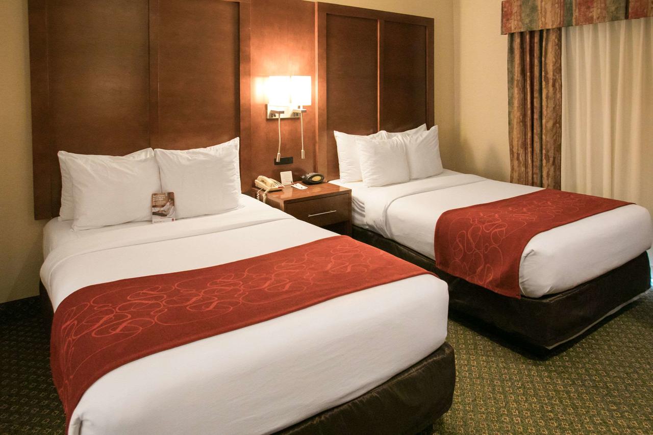 Comfort Suites Chicago - Oakbrook Terrace - thumb 18