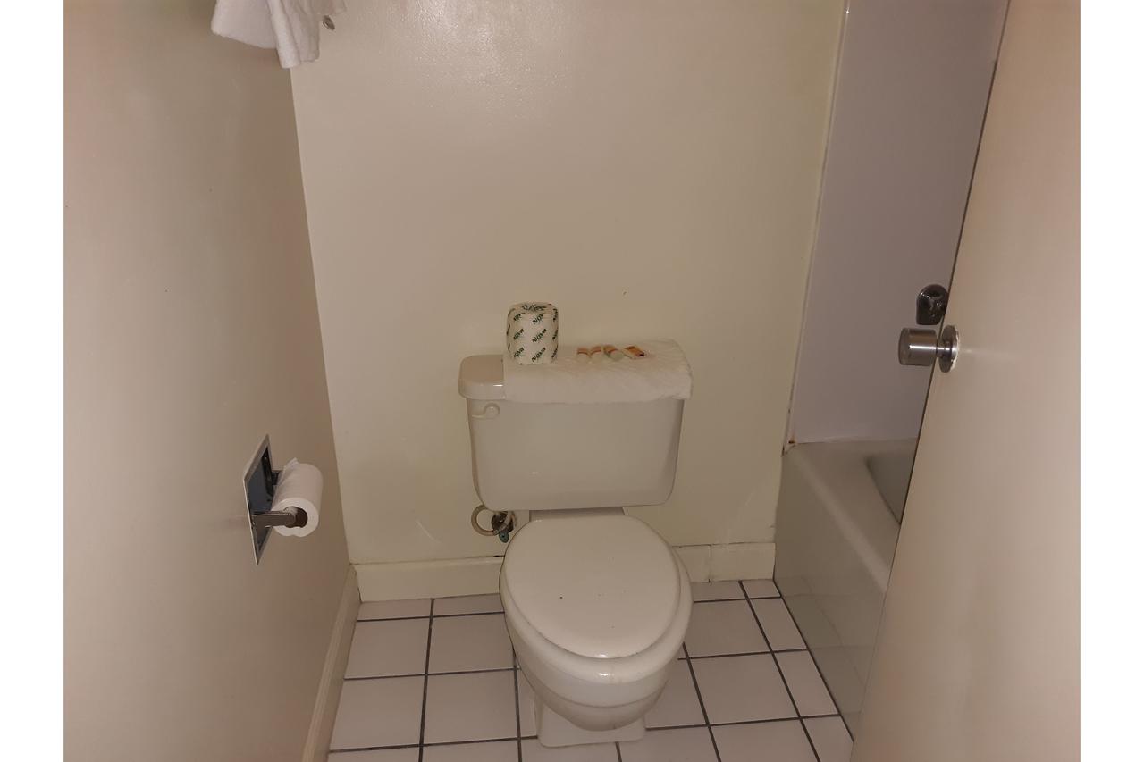 Mansion View Inn Springfield - thumb 22