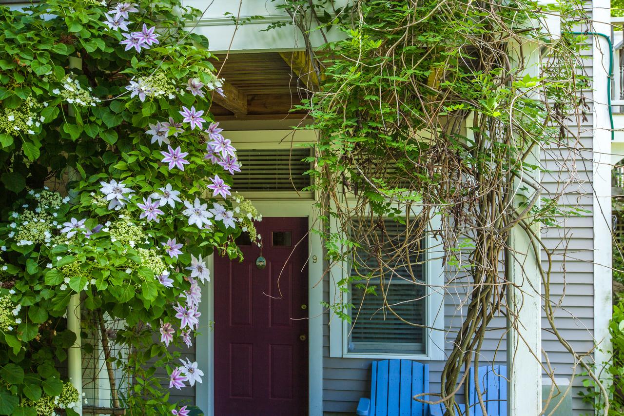 Blackberry Inn - thumb 12