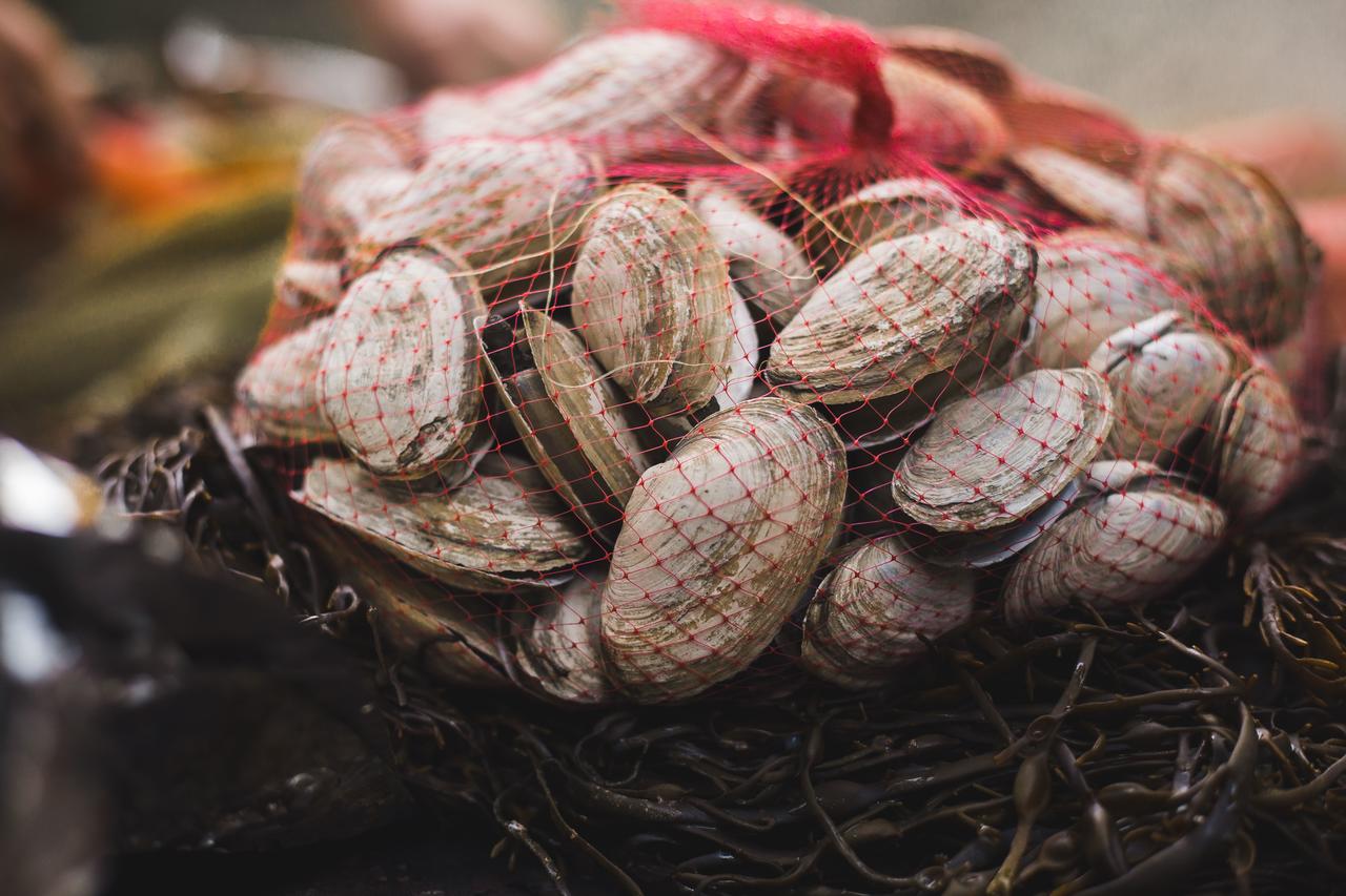 Ocean Gate Resort - thumb 31