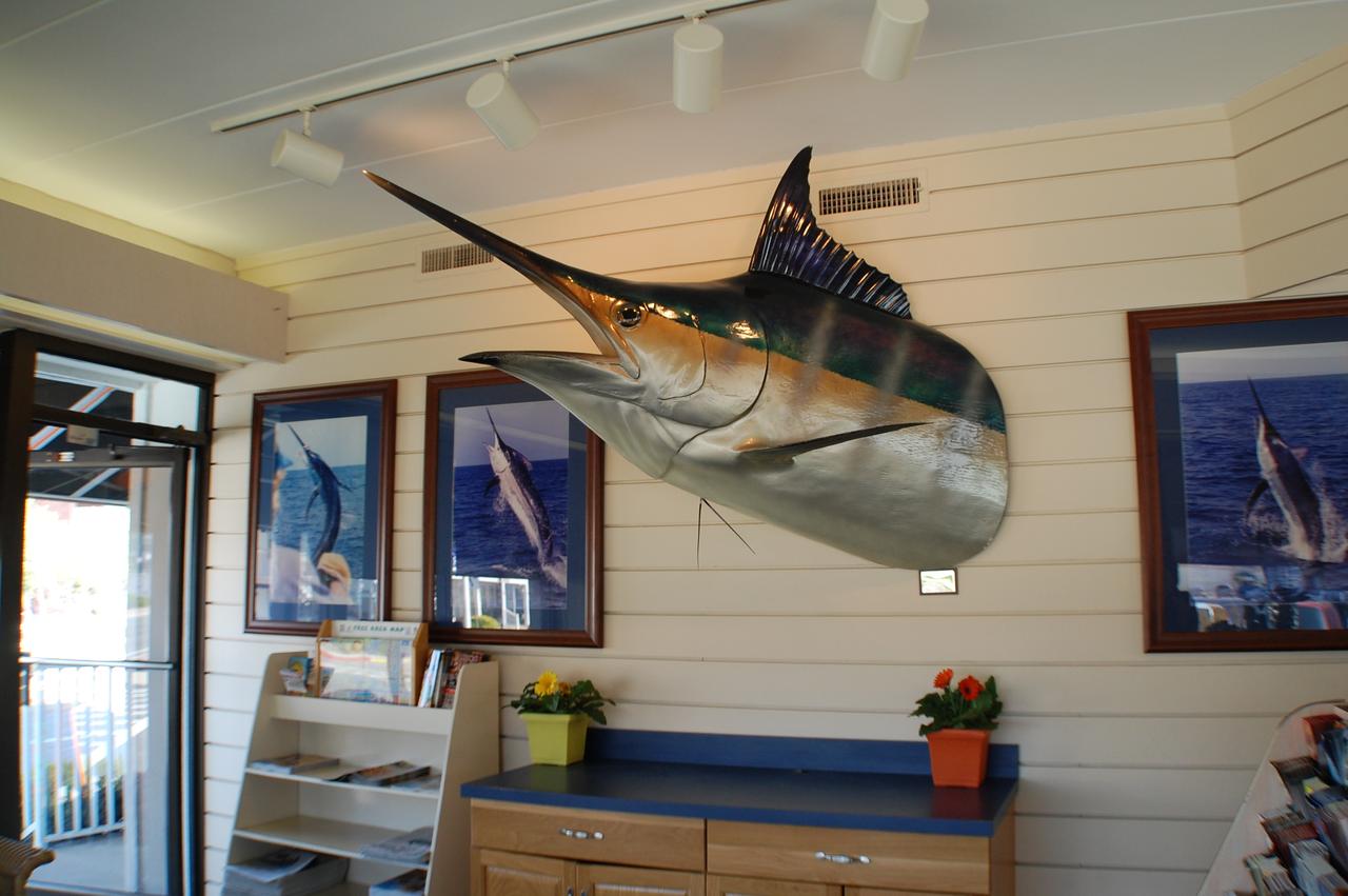 The Spinnaker - thumb 31