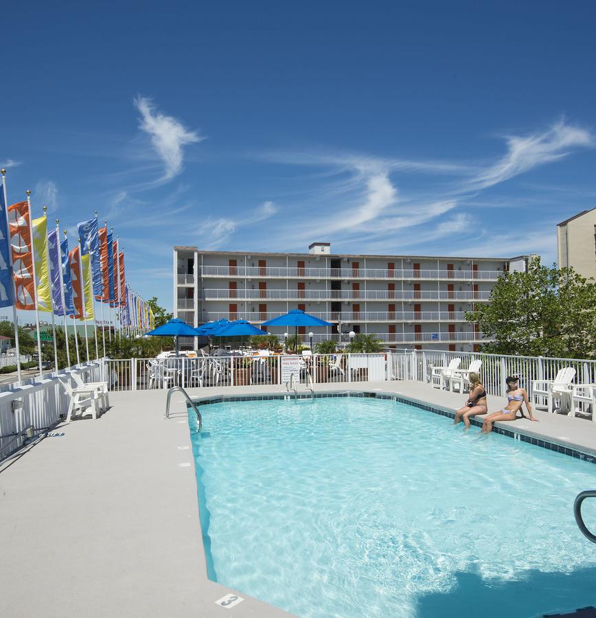 The Spinnaker - thumb 24