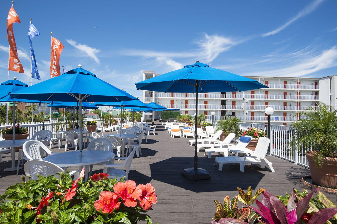 The Spinnaker - thumb 26