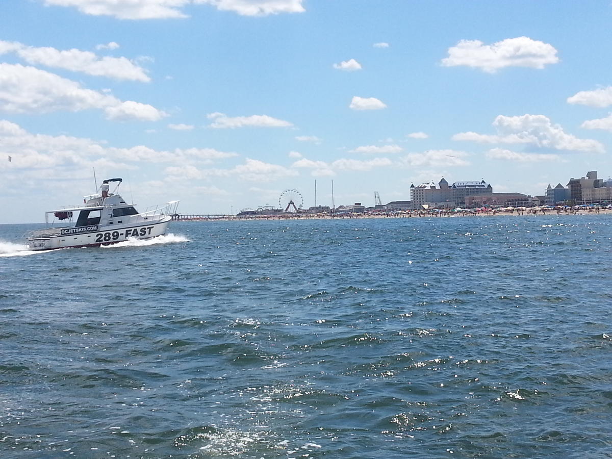 Ocean 1 Hotel & Suites Ocean City - thumb 22