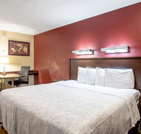 Red Roof Inn PLUS Baltimore-Washington DC/BWI South - Accommodation Rooms