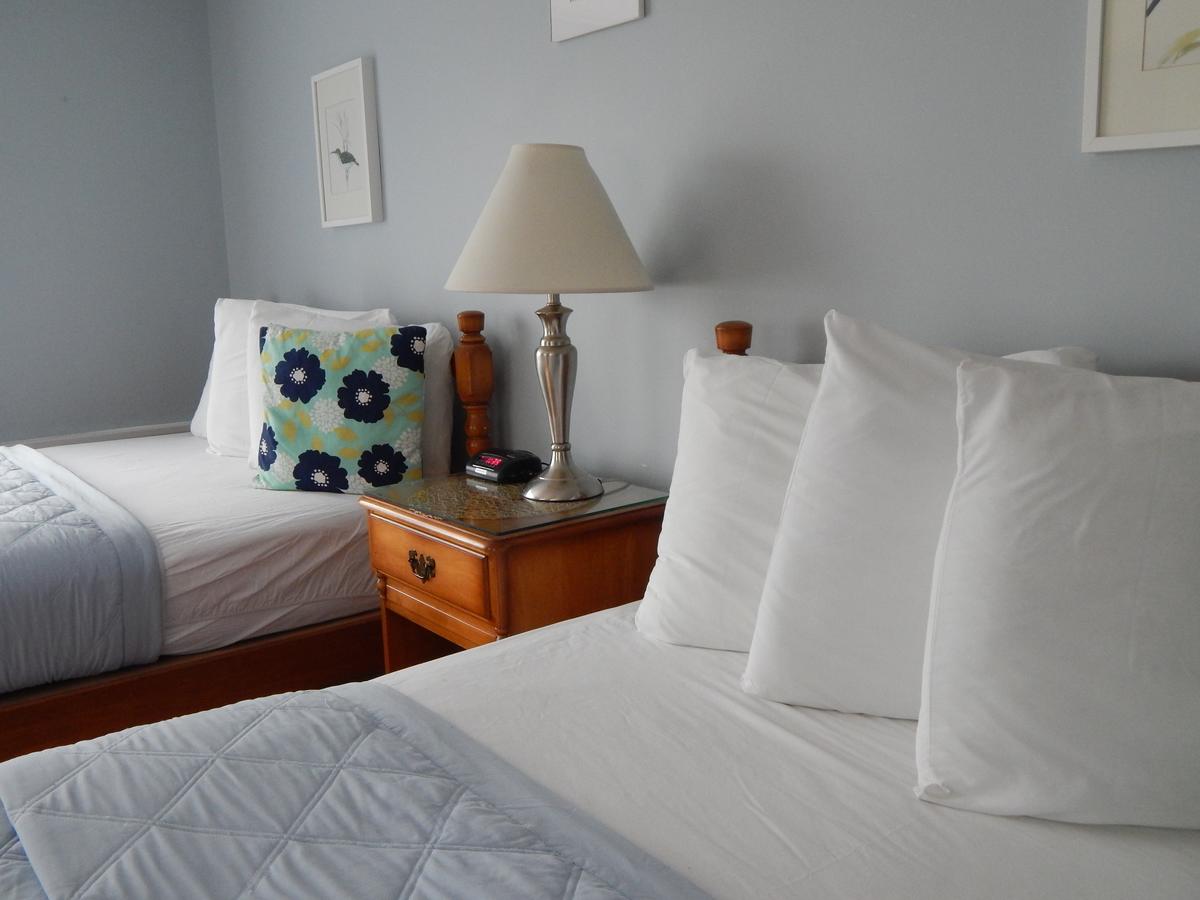 Eagle House Beachside Motel - thumb 20