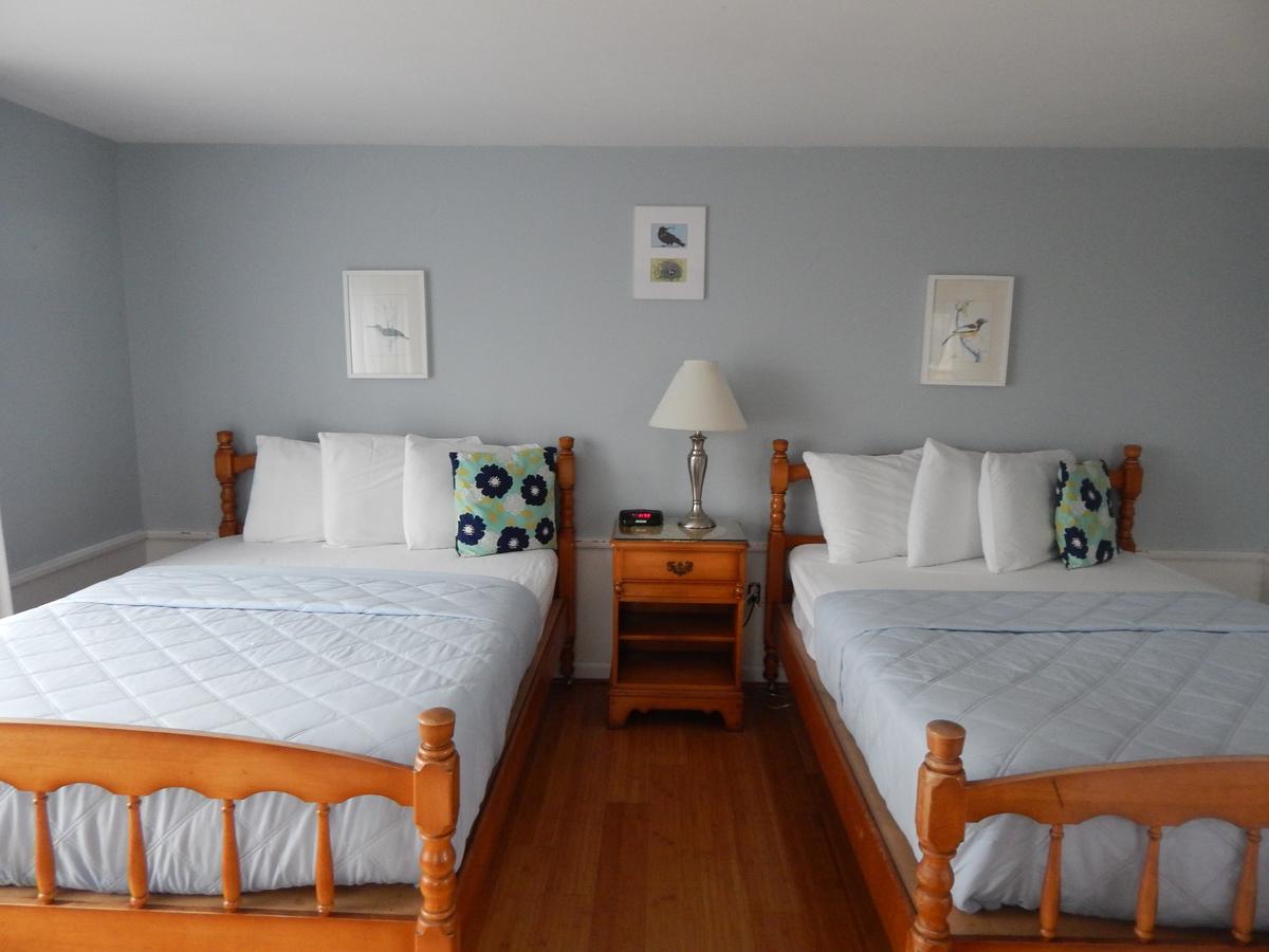 Eagle House Beachside Motel - thumb 33