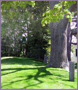 Pleasant Street Inn - thumb 4