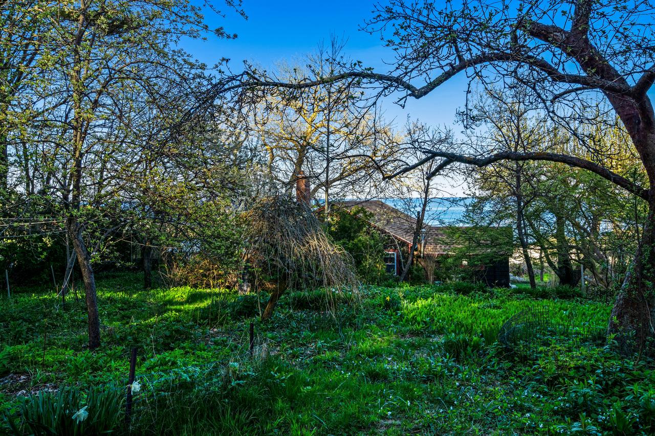 Rustic Rockport Cottage - thumb 42