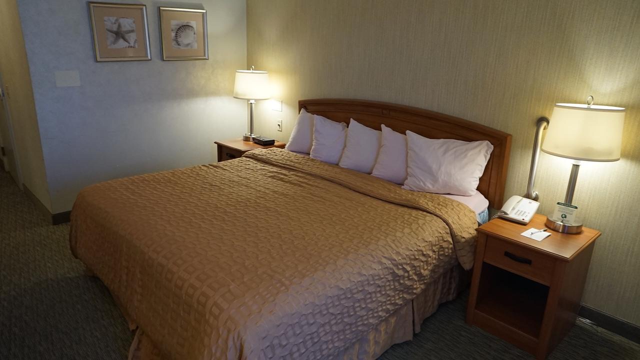 All Seasons Resort - thumb 23