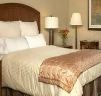 Resort  Conference Center at Hyannis - Accommodation Rooms