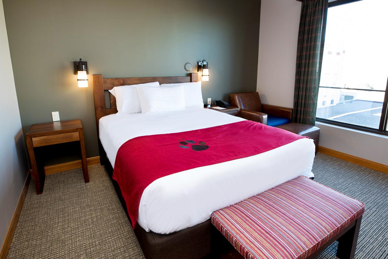 Great Wolf Lodge Bloomington - thumb 17