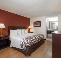 Red Roof Inn Gulfport - Biloxi Airport - Accommodation Rooms