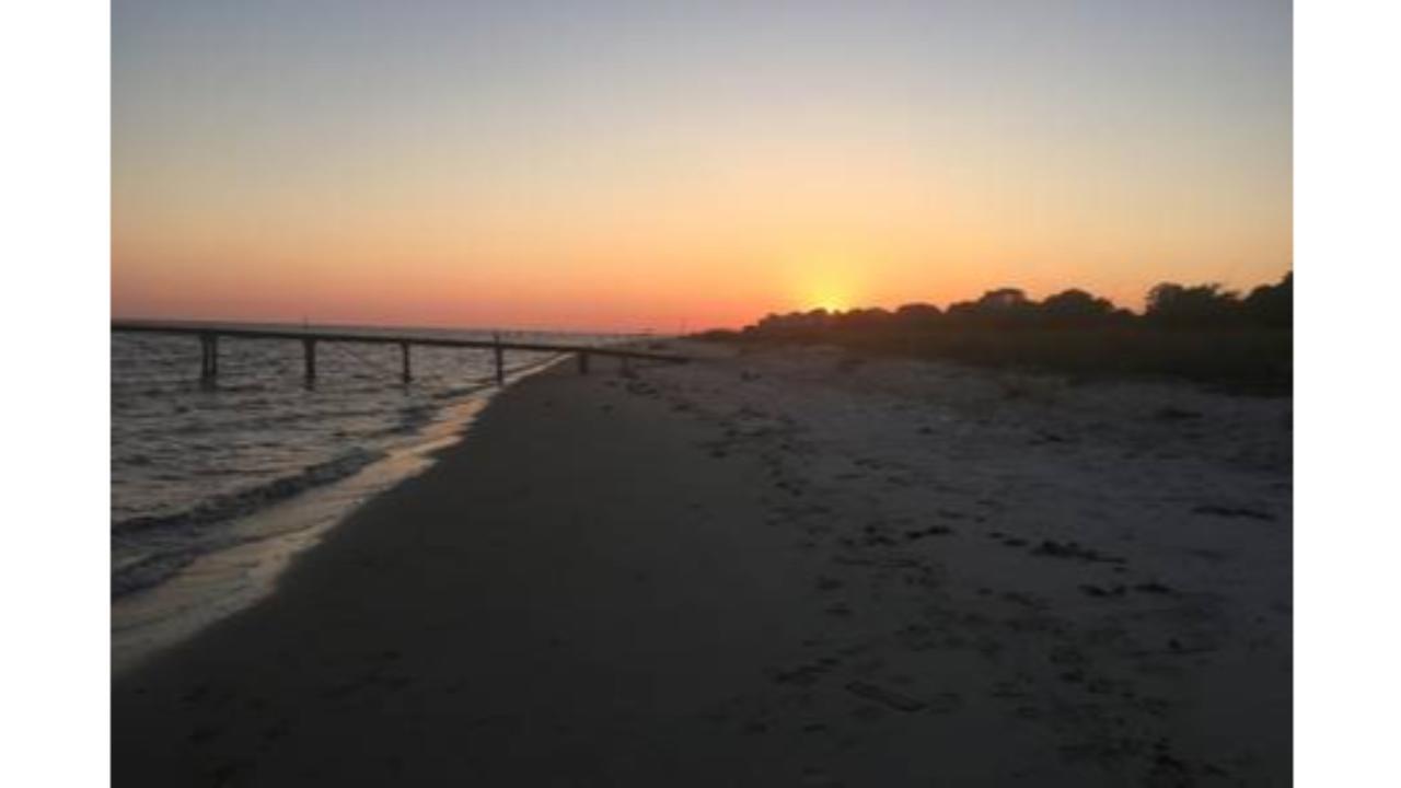 Sea-Elusion Escape - thumb 2