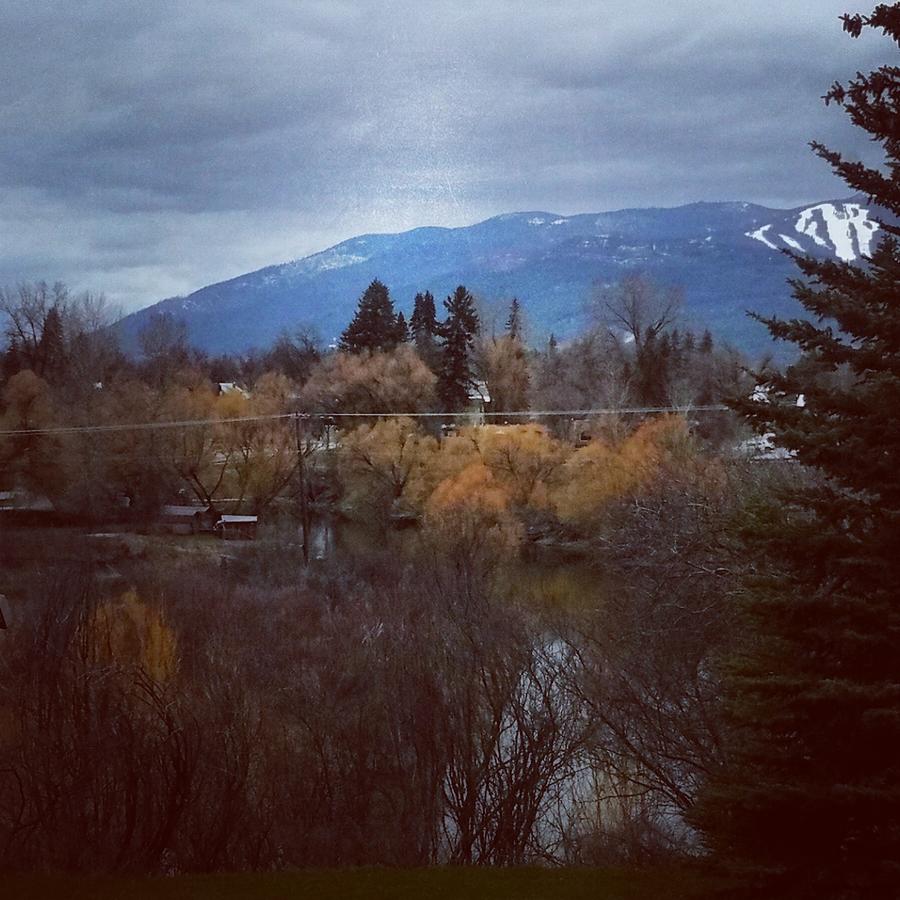 Stumptown Inn Of Whitefish - thumb 17