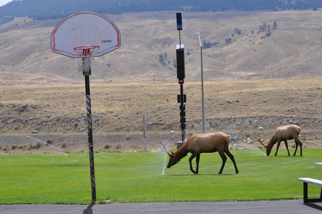 Yellowstone Village Inn And Suites - thumb 32