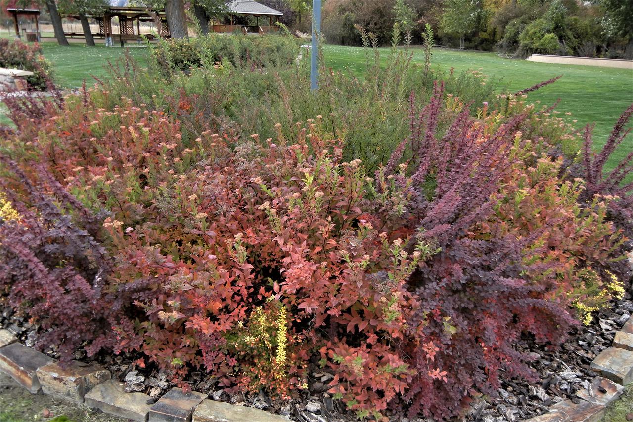 Rocky Point Ranch - thumb 1