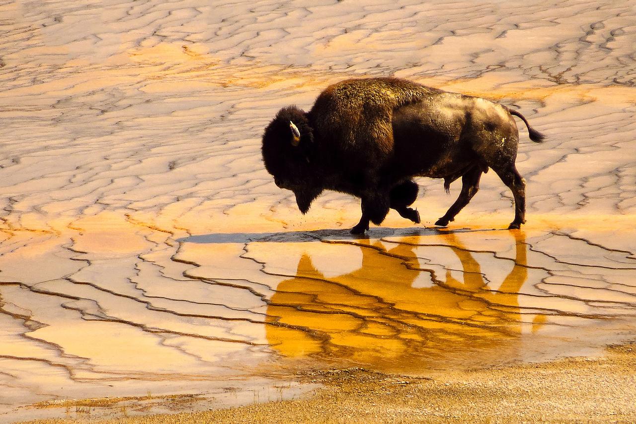 1872 Inn - Adults Exclusive - thumb 35