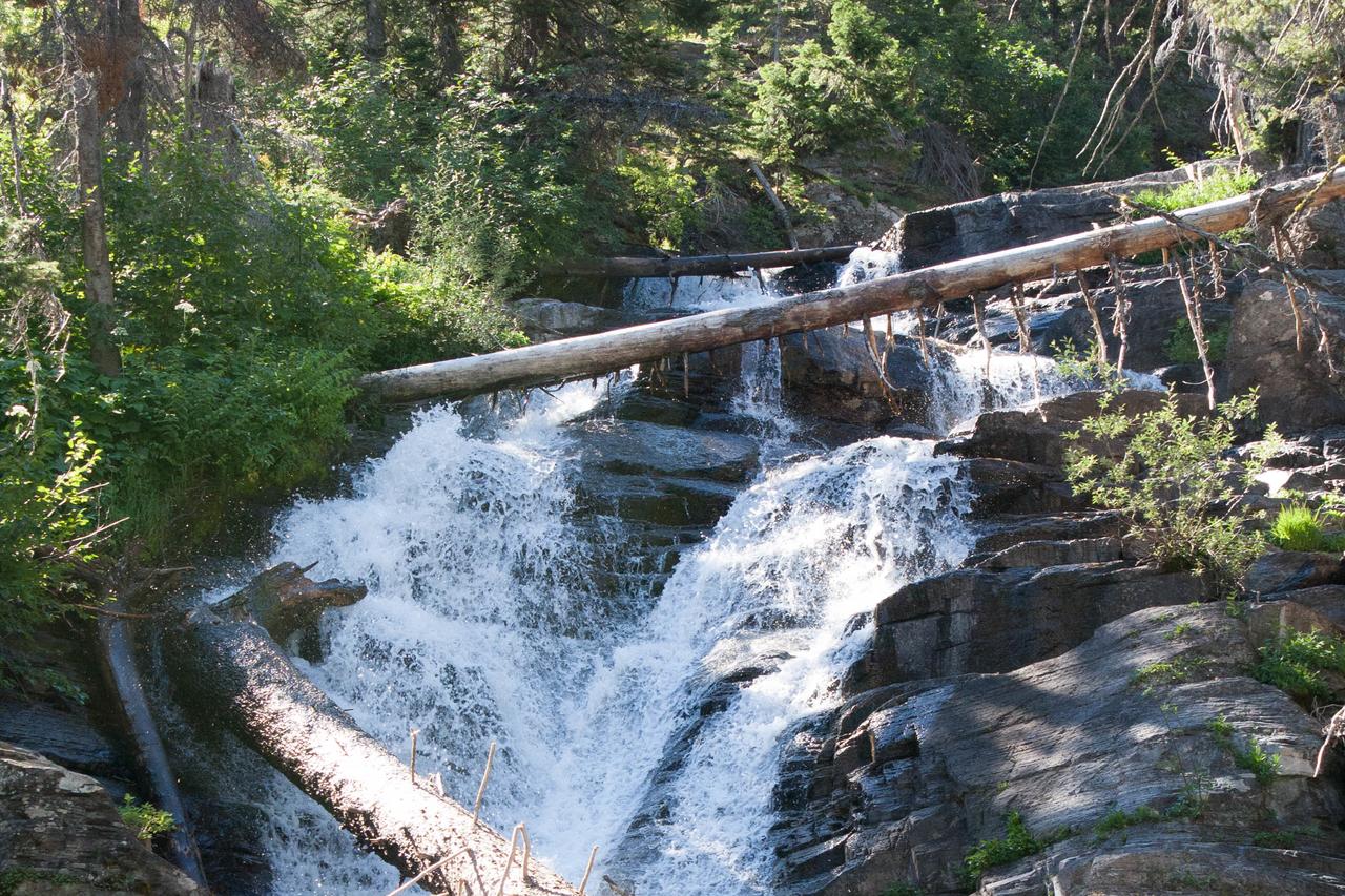 Alpenglow 19C - thumb 30