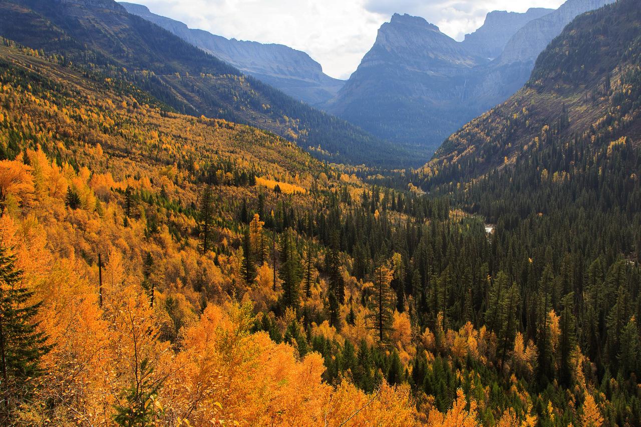 Alpenglow 19C - thumb 31