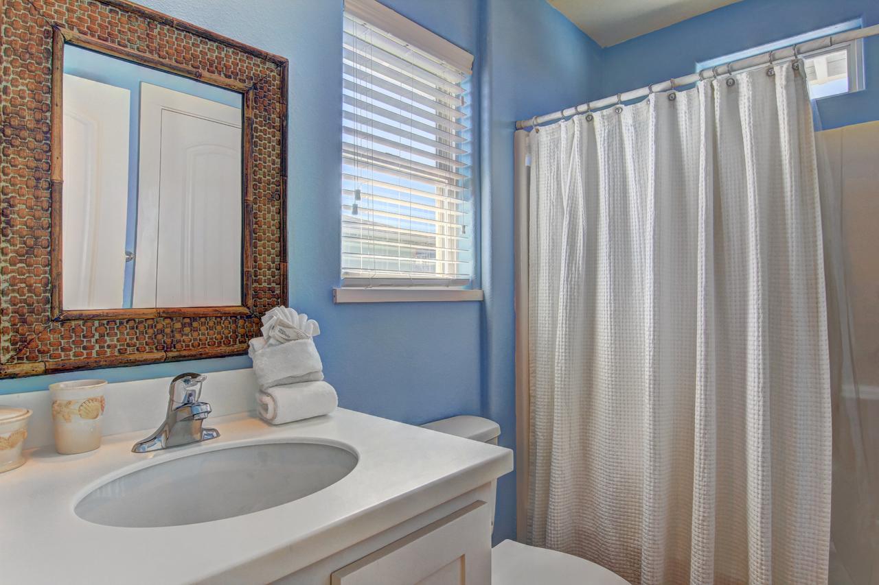 VW67 - Whale Of A Time - thumb 12