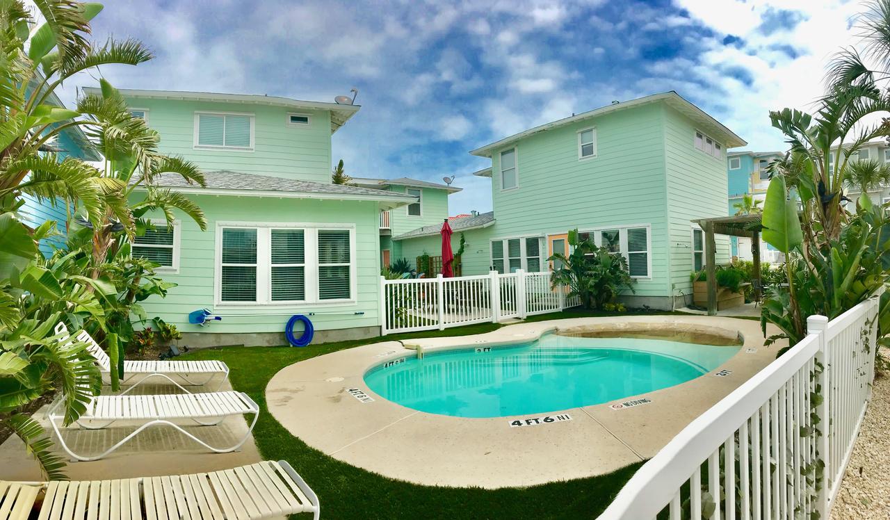 VW67 - Whale Of A Time - thumb 5