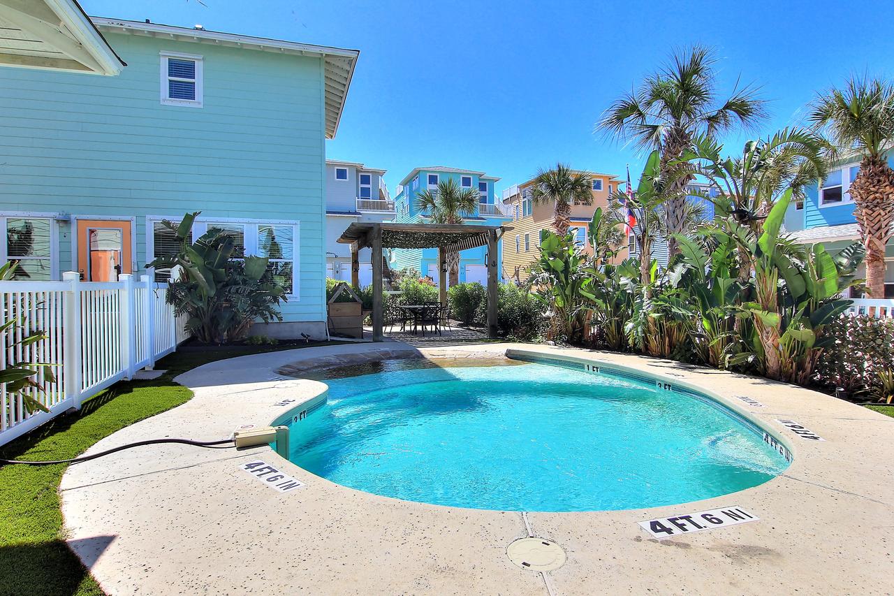 VW67 - Whale Of A Time - thumb 22