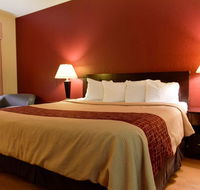 Red Roof Inn  Suites Lincoln - Accommodation Rooms