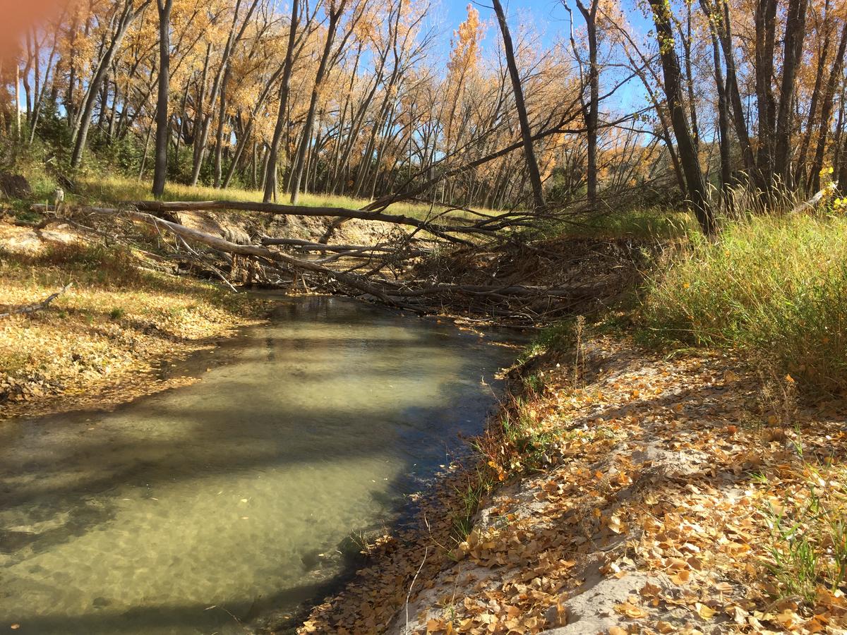 Mesa View Lodge - thumb 18