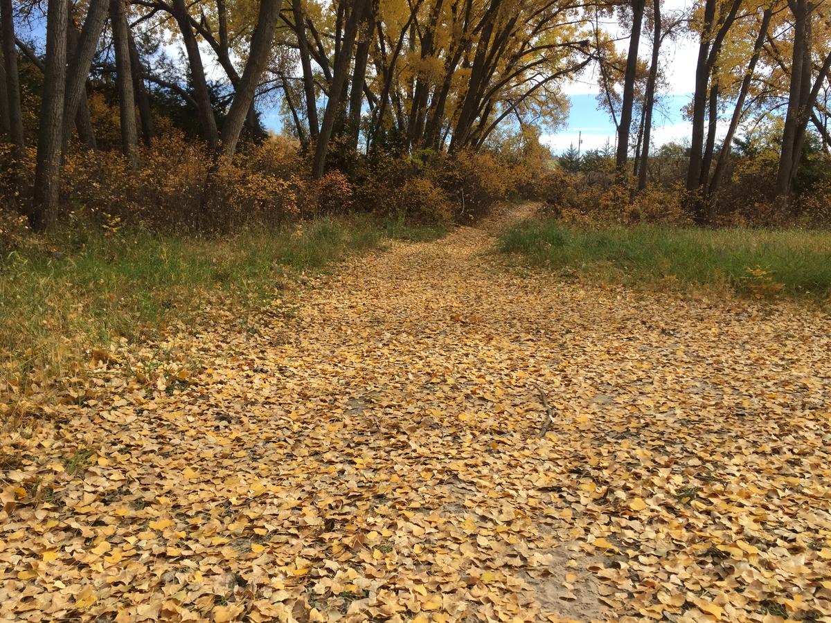 Mesa View Lodge - thumb 17