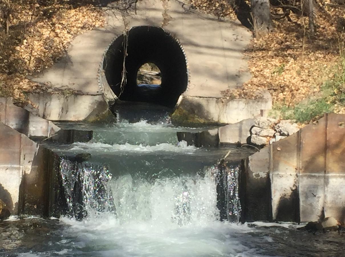 Mesa View Lodge - thumb 19