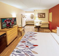 Red Roof Inn Salem - Accommodation Rooms