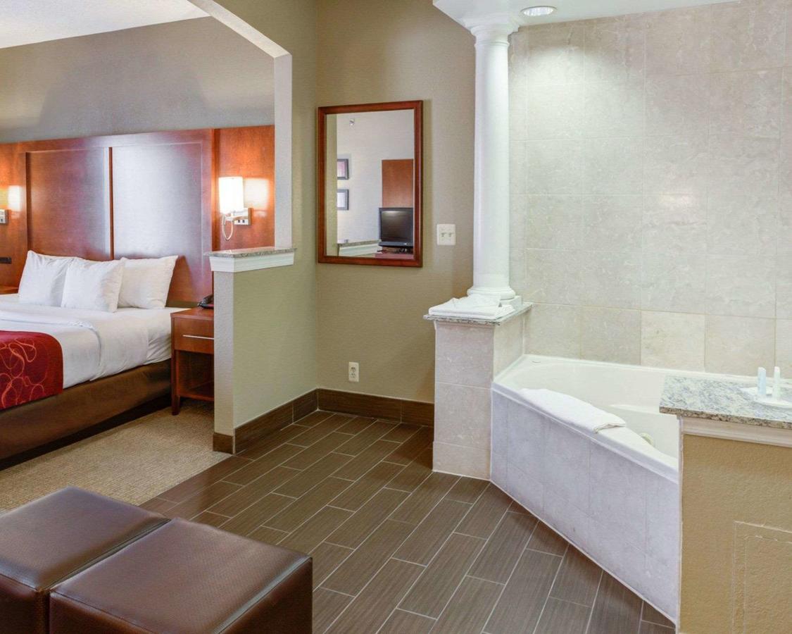 Comfort Suites Newark - Harrison - thumb 5