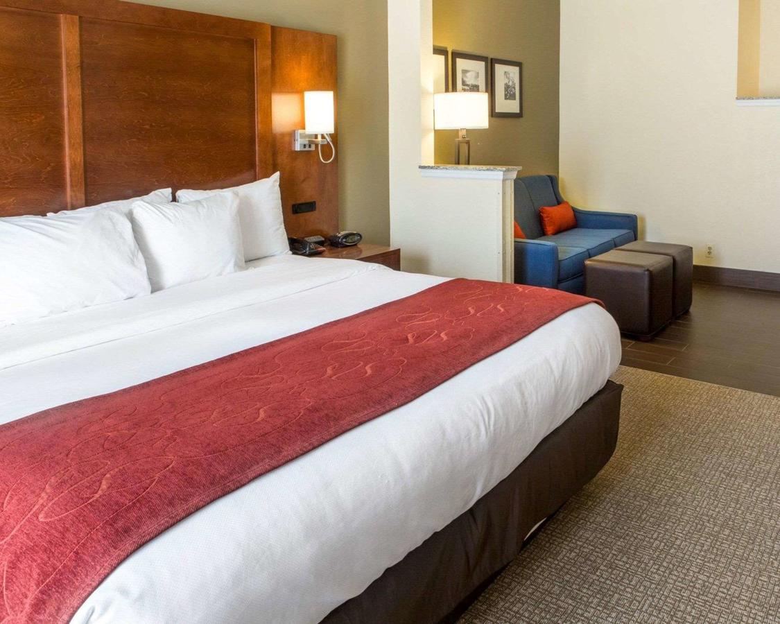 Comfort Suites Newark - Harrison - thumb 13