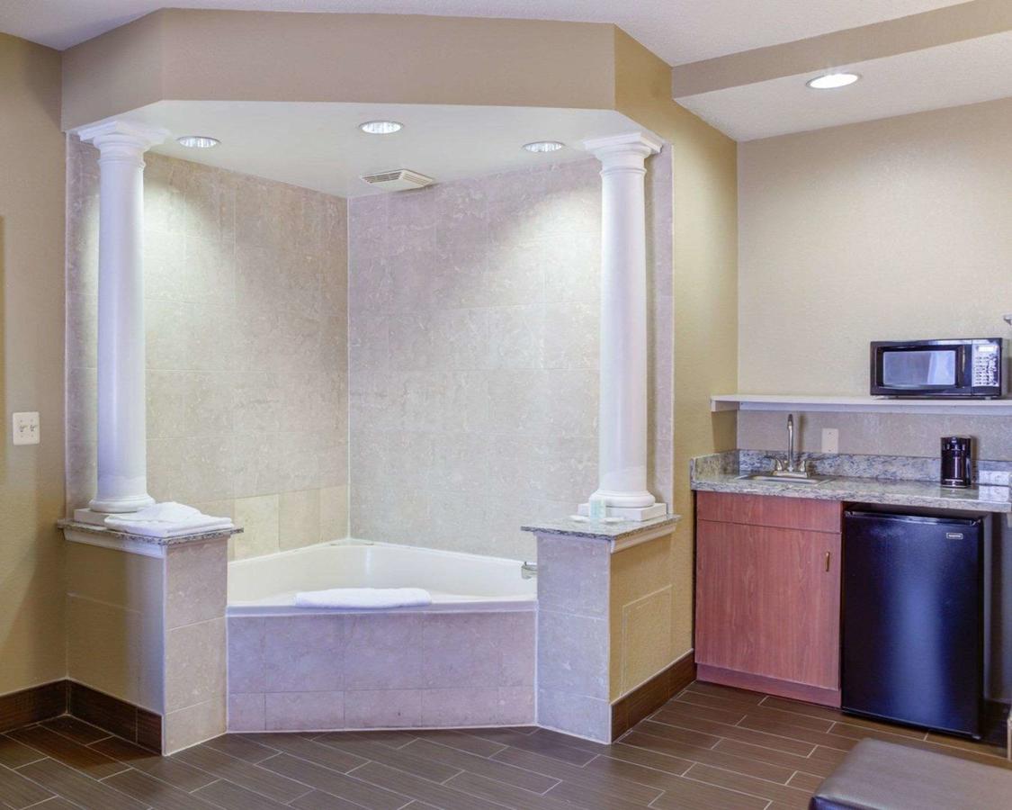 Comfort Suites Newark - Harrison - thumb 1