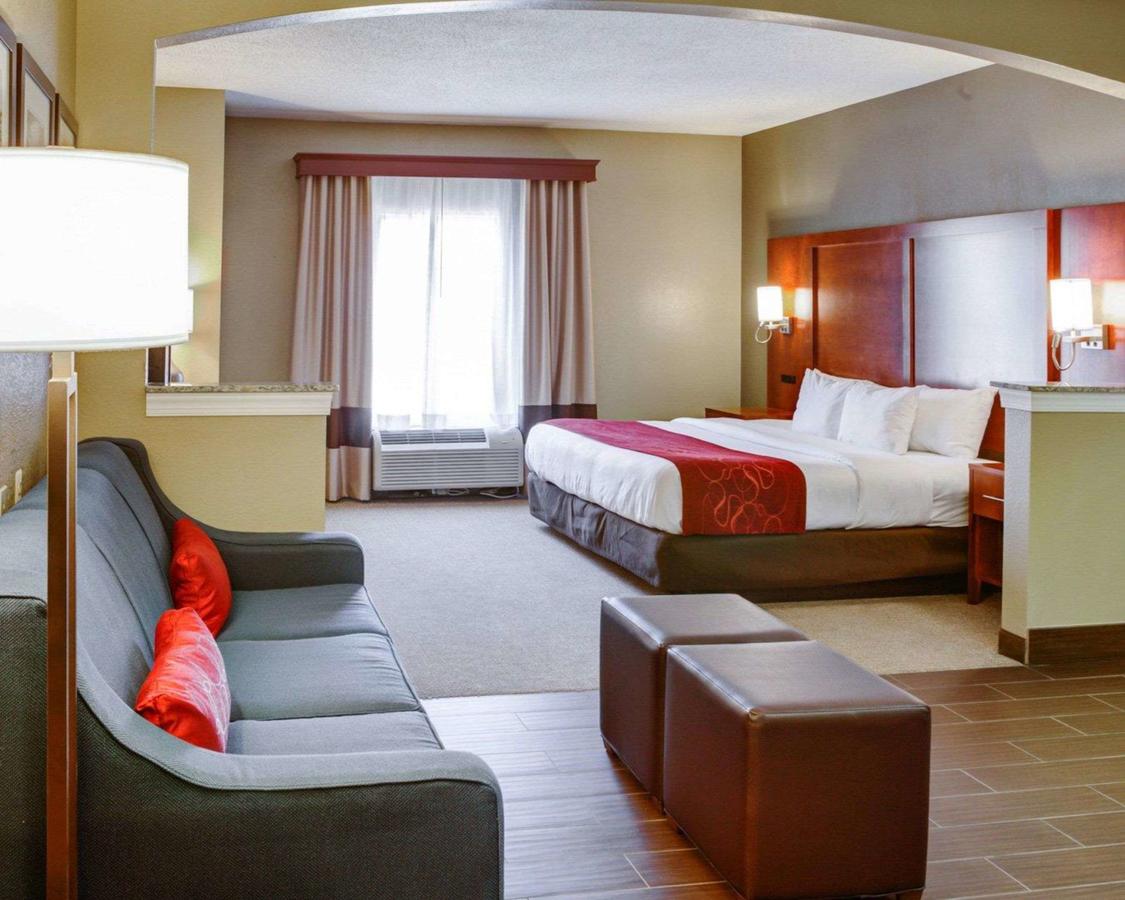 Comfort Suites Newark - Harrison - thumb 20