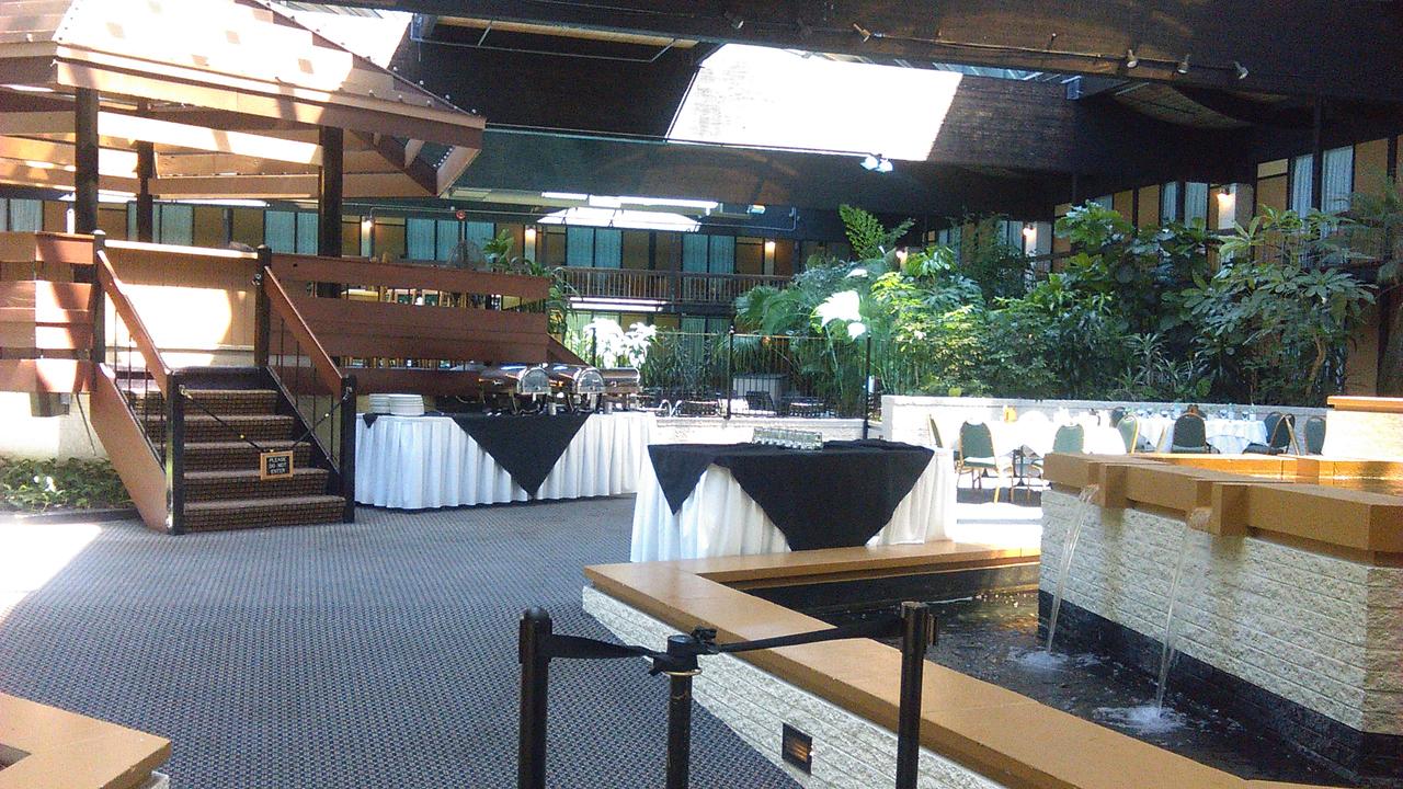 Millennium Buffalo - thumb 3