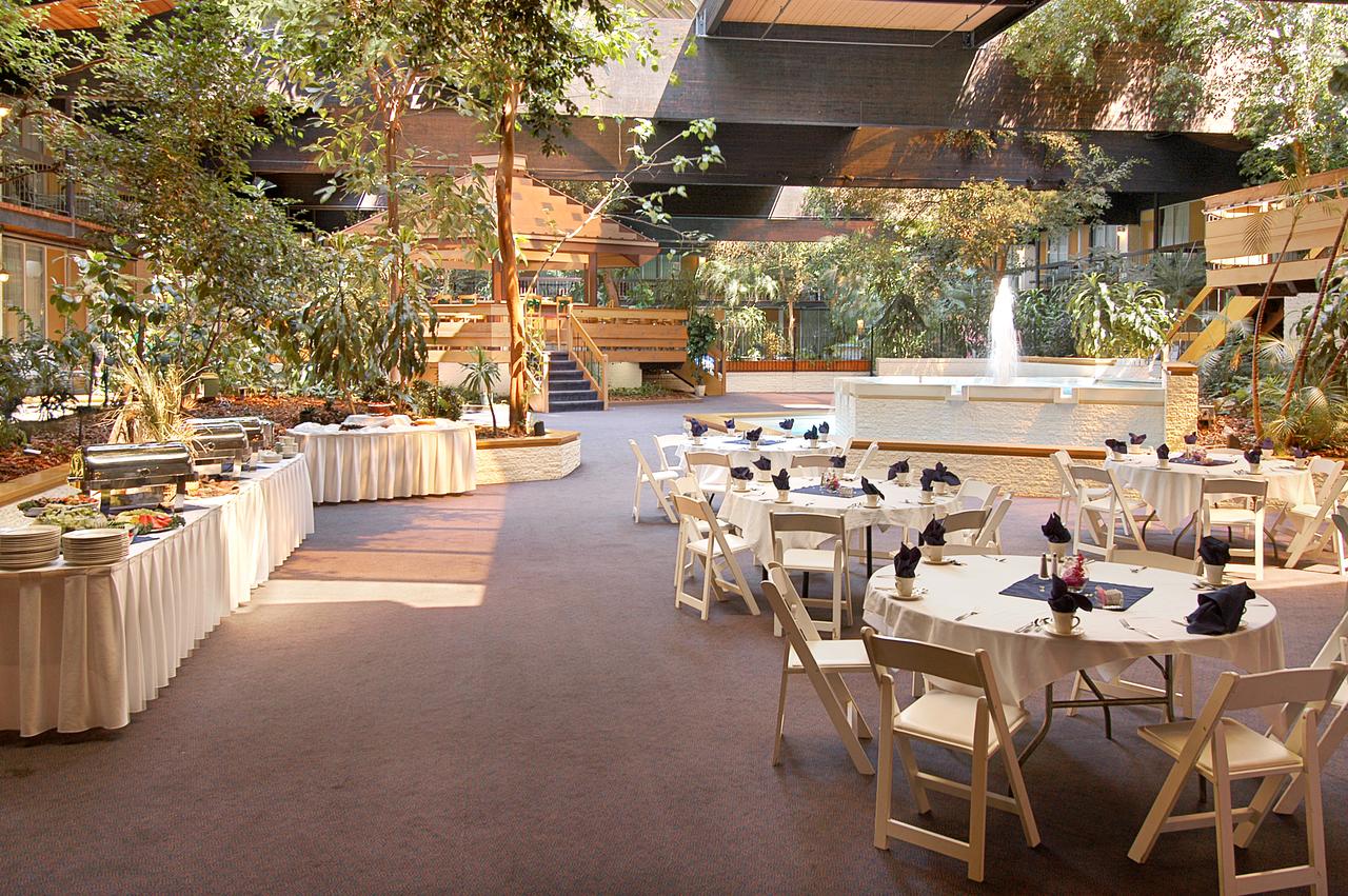 Millennium Buffalo - thumb 10