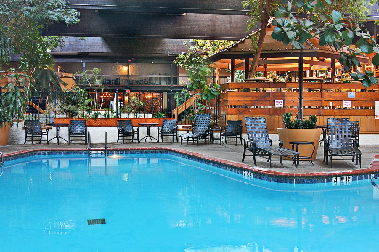 Millennium Buffalo - thumb 7