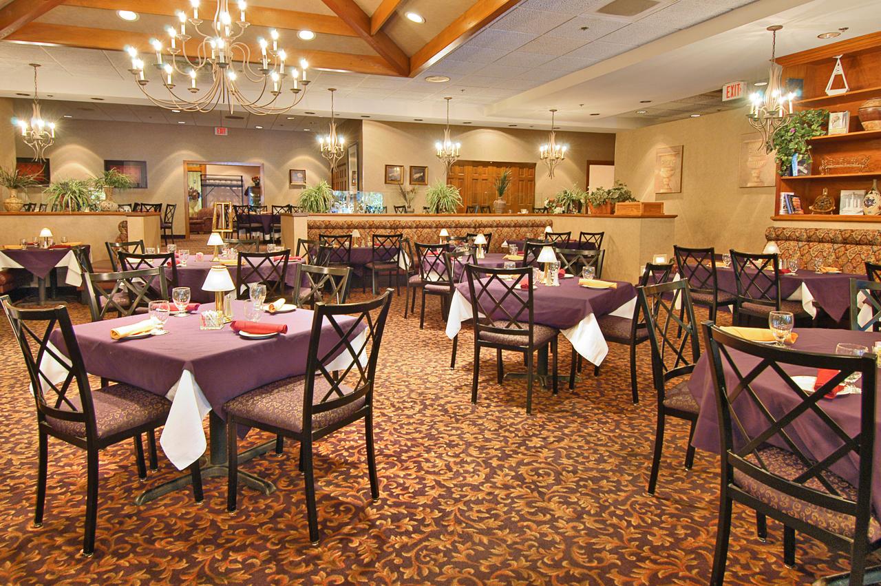 Millennium Buffalo - thumb 20