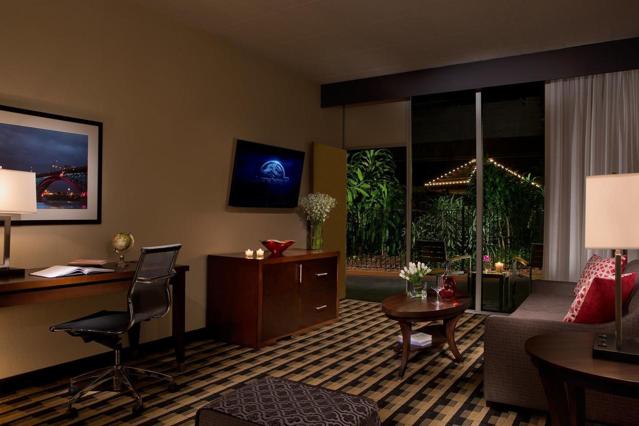 Millennium Buffalo - thumb 16