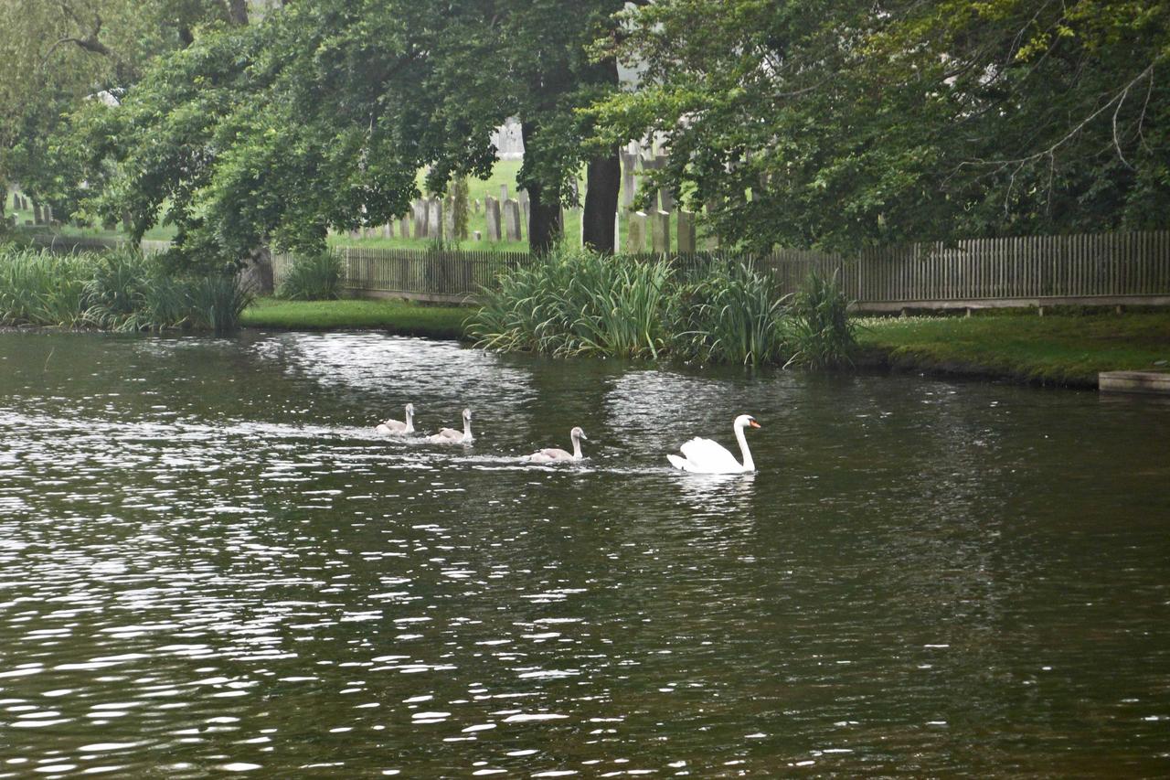 Mill House Inn - thumb 27