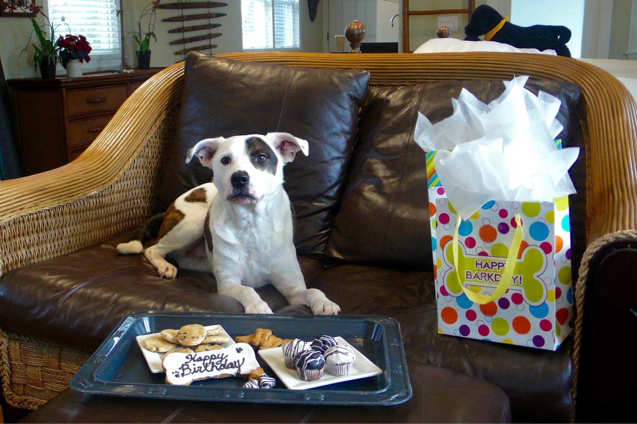 Mill House Inn - thumb 36