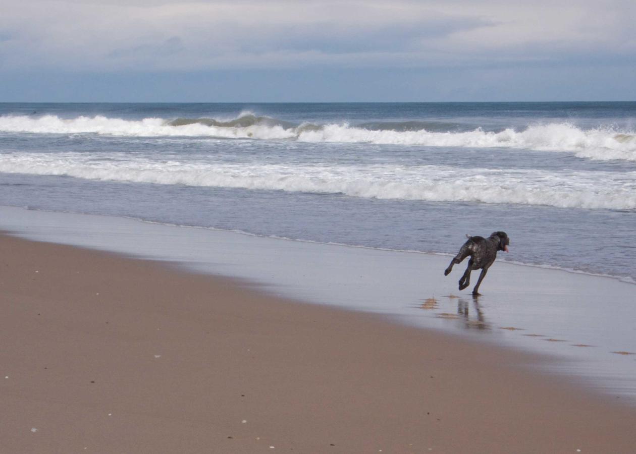 Mill House Inn - thumb 7