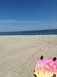 Booking Shirley Accommodation Rooms